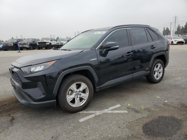 TOYOTA RAV4 LE 2019 jtmmwrfv7kd013671