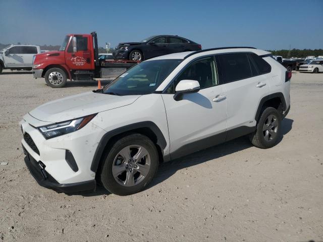 TOYOTA RAV4 LE 2023 jtmmwrfv8pd207200