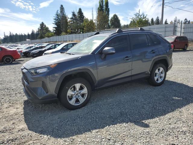 TOYOTA RAV4 LE 2019 jtmmwrfvxkd002907