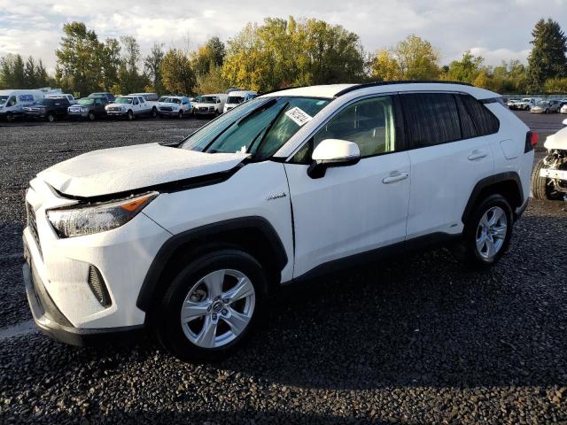 TOYOTA RAV4 LE 2019 jtmmwrfvxkd014801