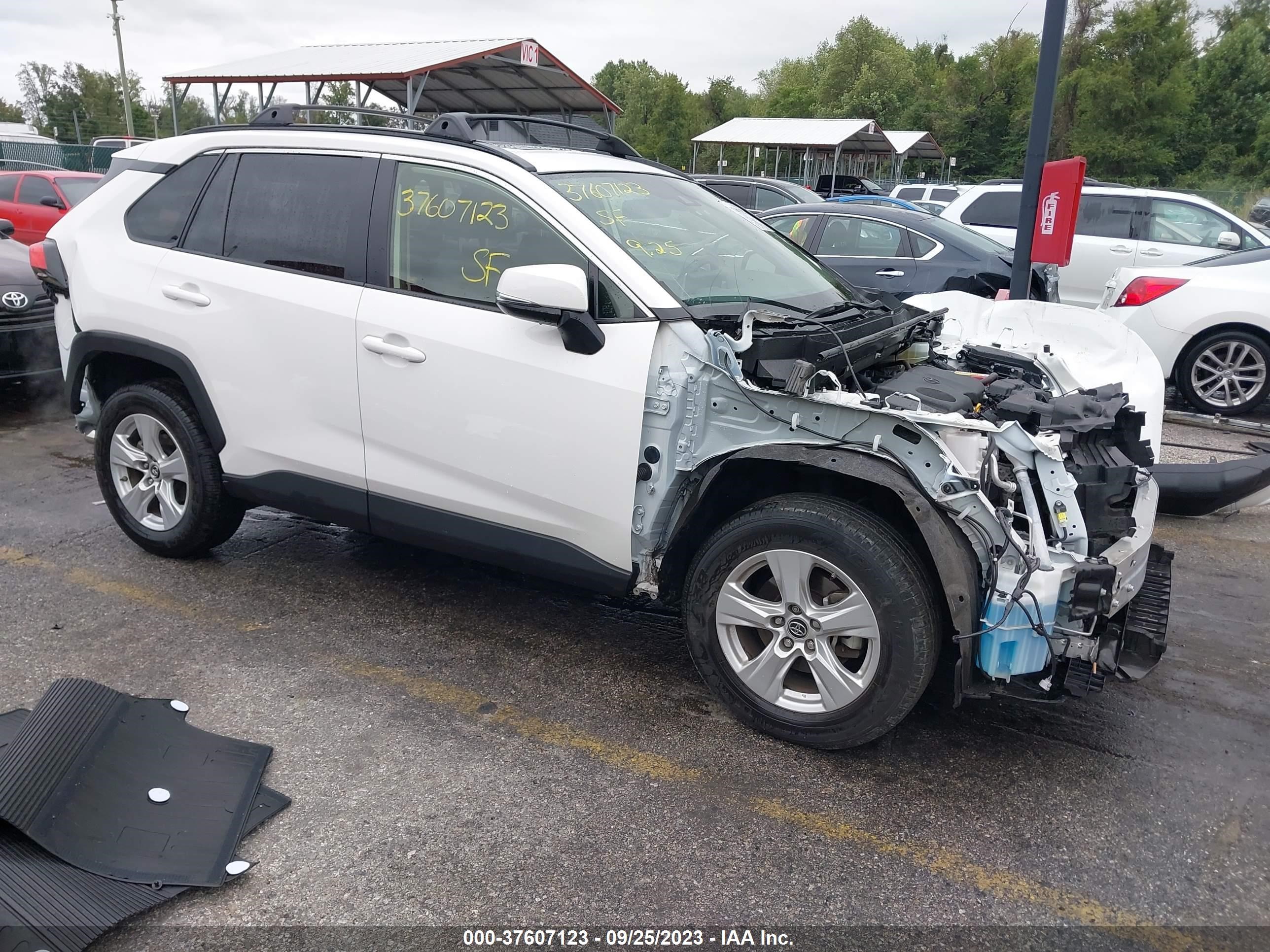 TOYOTA RAV 4 2019 jtmp1rfv3kd505173