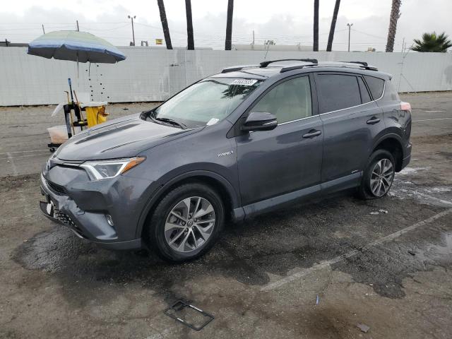 TOYOTA RAV4 2016 jtmrjrev1gd056240