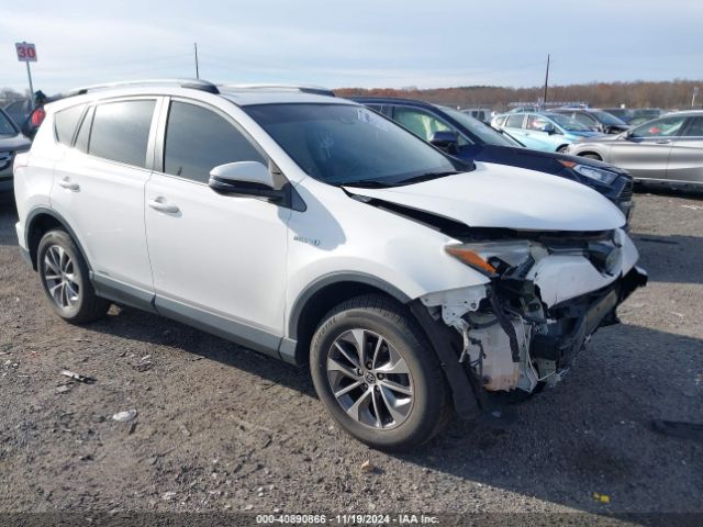 TOYOTA RAV4 2017 jtmrjrev1hd085562