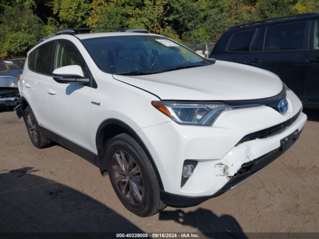 TOYOTA RAV4 2016 jtmrjrev2gd017298