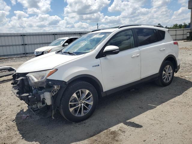 TOYOTA RAV4 2016 jtmrjrev2gd047319