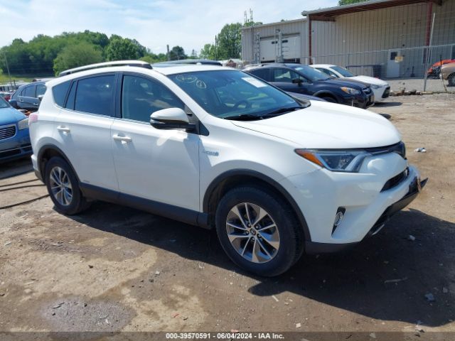 TOYOTA RAV4 2017 jtmrjrev2hd118259