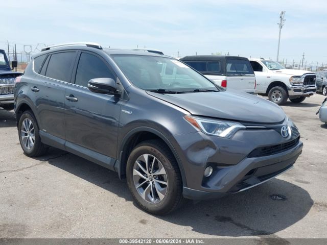 TOYOTA RAV4 2016 jtmrjrev4gd034698