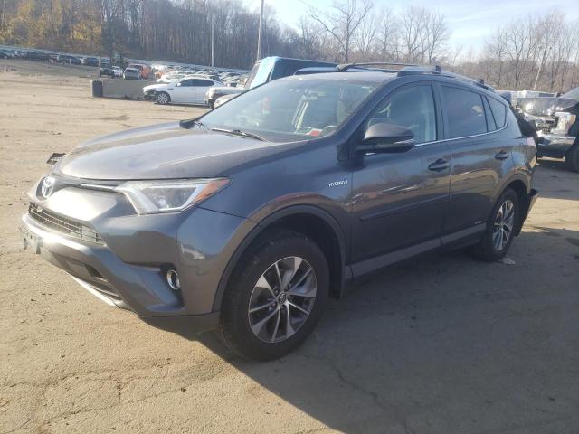 TOYOTA RAV4 2016 jtmrjrev4gd036600