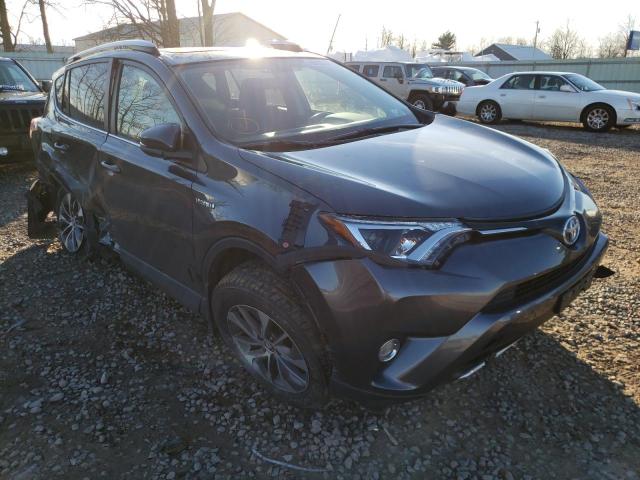 TOYOTA NULL 2016 jtmrjrev4gd056927