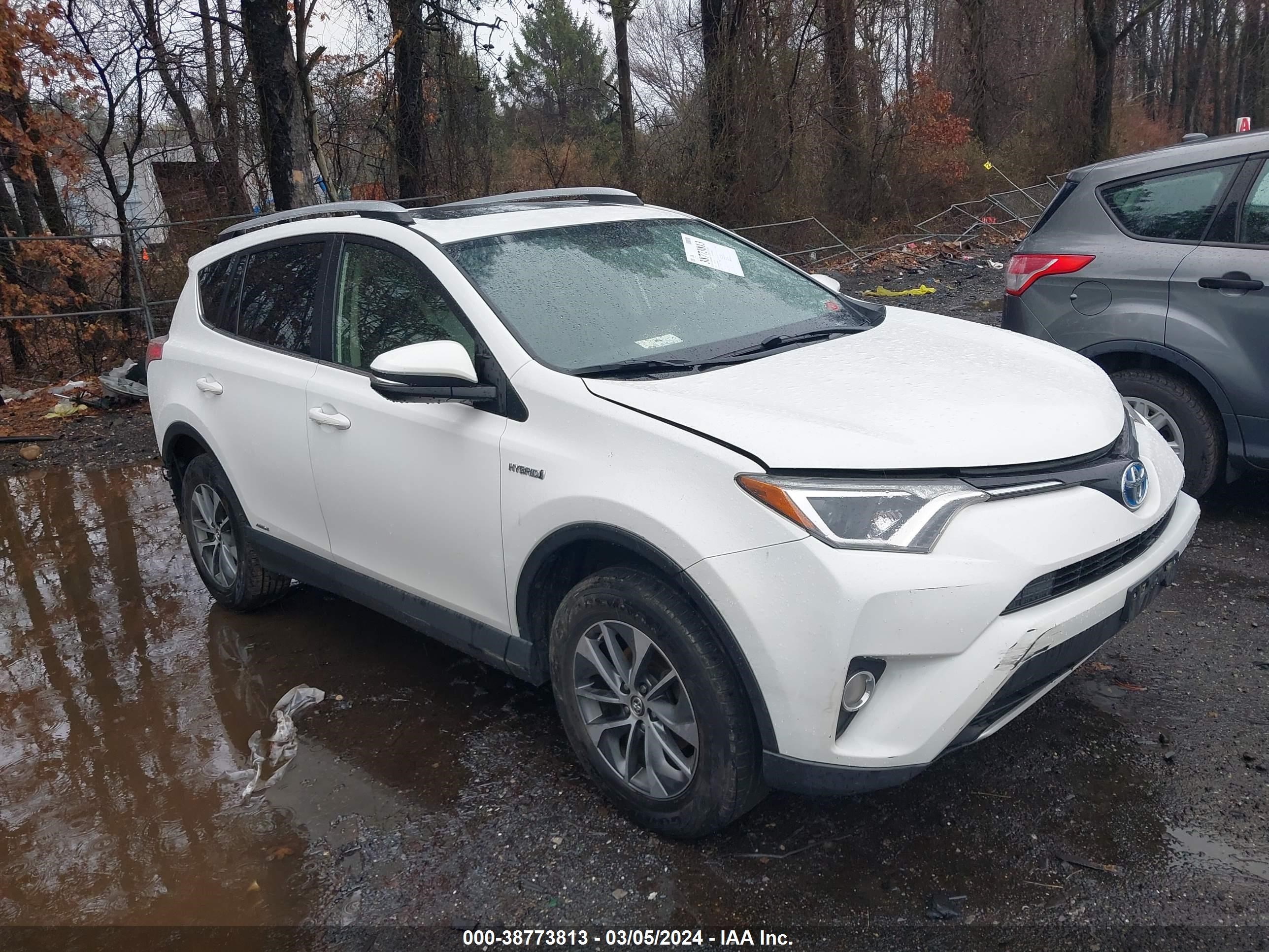 TOYOTA RAV 4 2016 jtmrjrev6gd051681