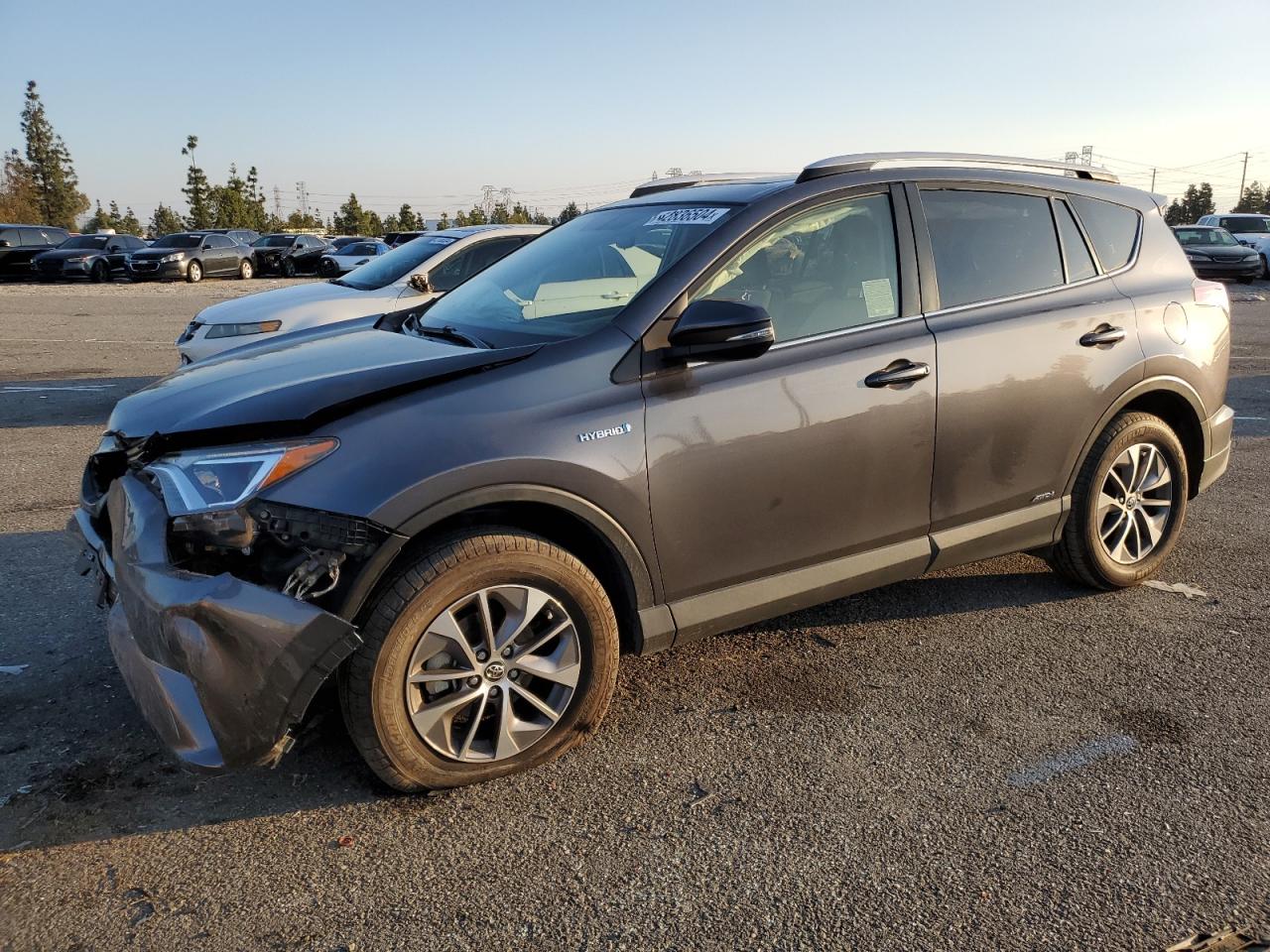 TOYOTA RAV 4 2016 jtmrjrev9gd054963