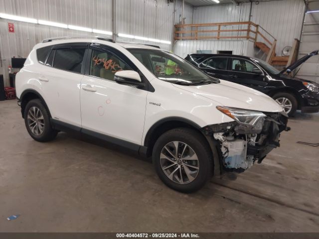 TOYOTA RAV4 2016 jtmrjrevxgd029151