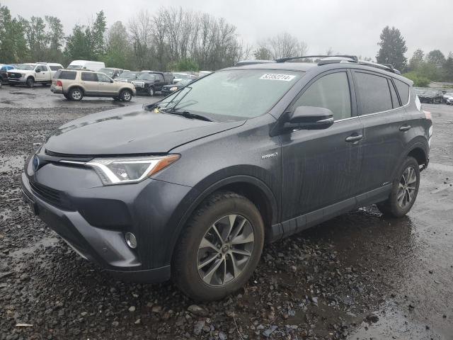 TOYOTA RAV4 2017 jtmrjrevxhd149307