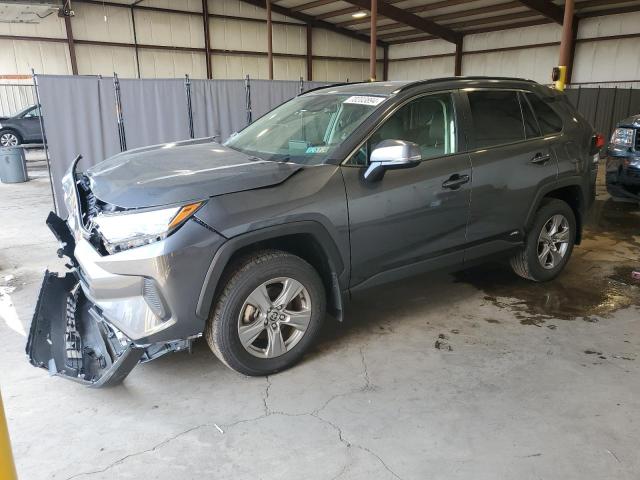 TOYOTA RAV4 XLE 2023 jtmrwrfv5pd187686