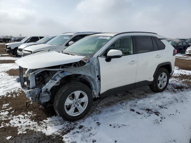 TOYOTA RAV4 XLE 2019 jtmrwrfv6kj006184