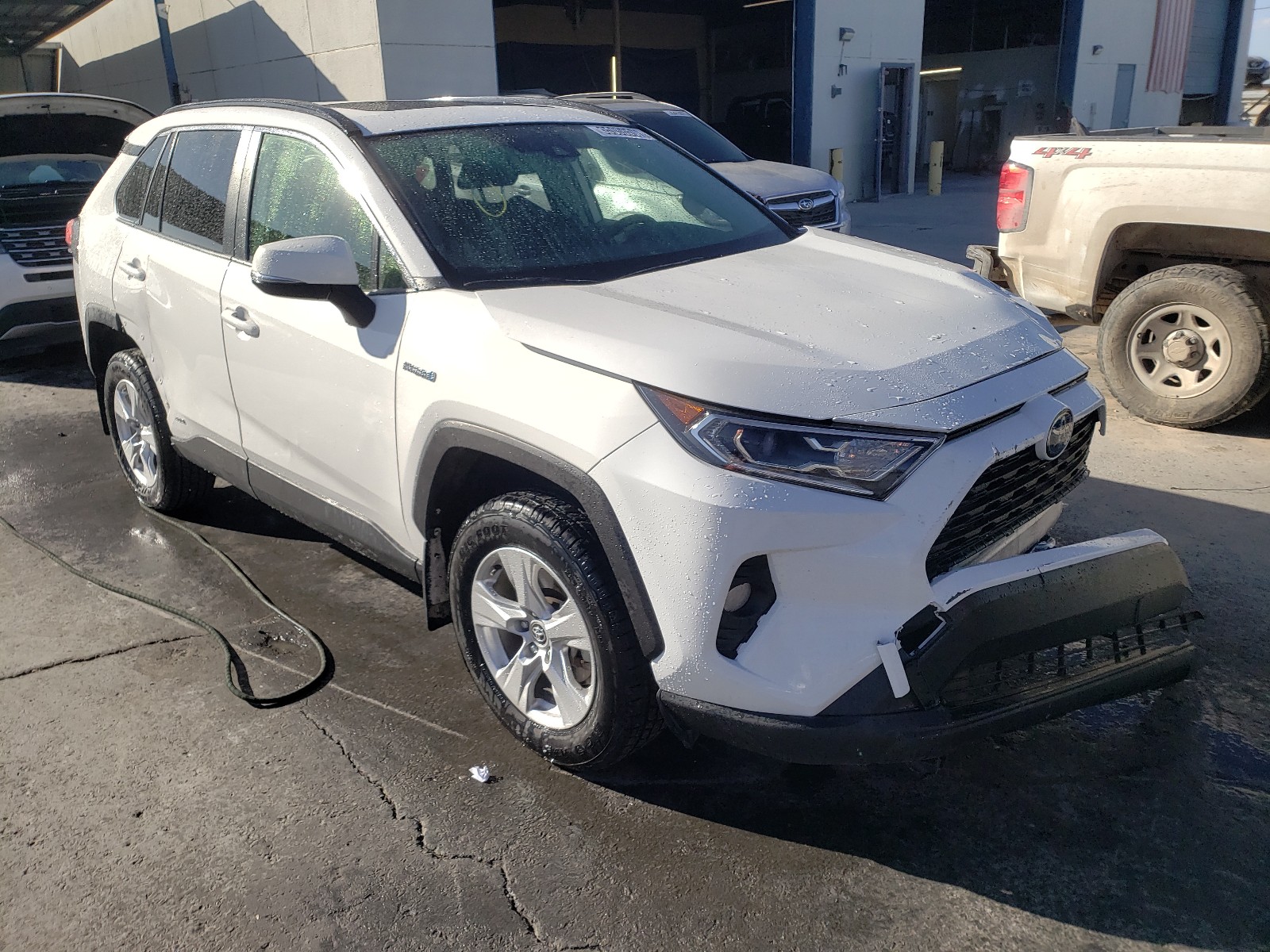 TOYOTA RAV4 XLE 2019 jtmrwrfv7kd006788