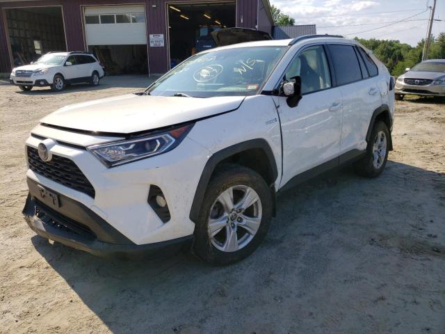 TOYOTA RAV4 XLE 2019 jtmrwrfv8kd505454