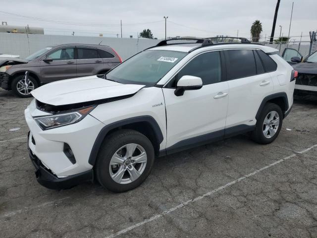 TOYOTA RAV4 XLE 2019 jtmrwrfv9kd013547