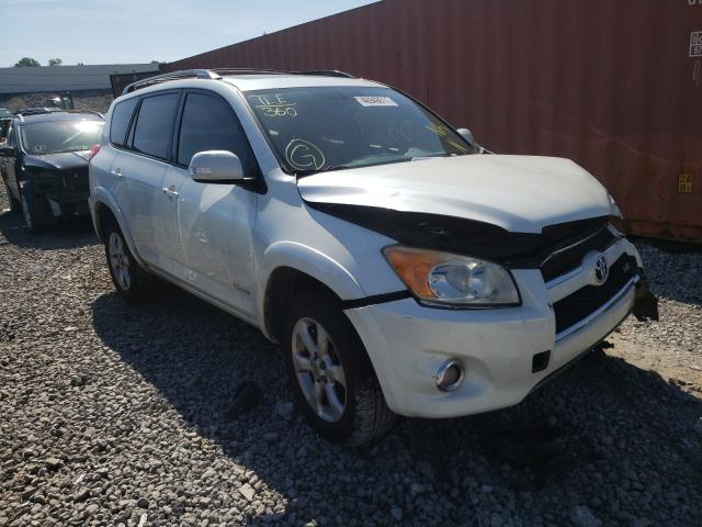 TOYOTA RAV4 LIMIT 2010 jtmyk4dv1a5026993