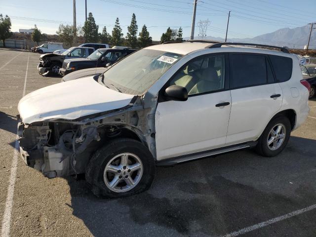 TOYOTA RAV4 2006 jtmzd33v365005290