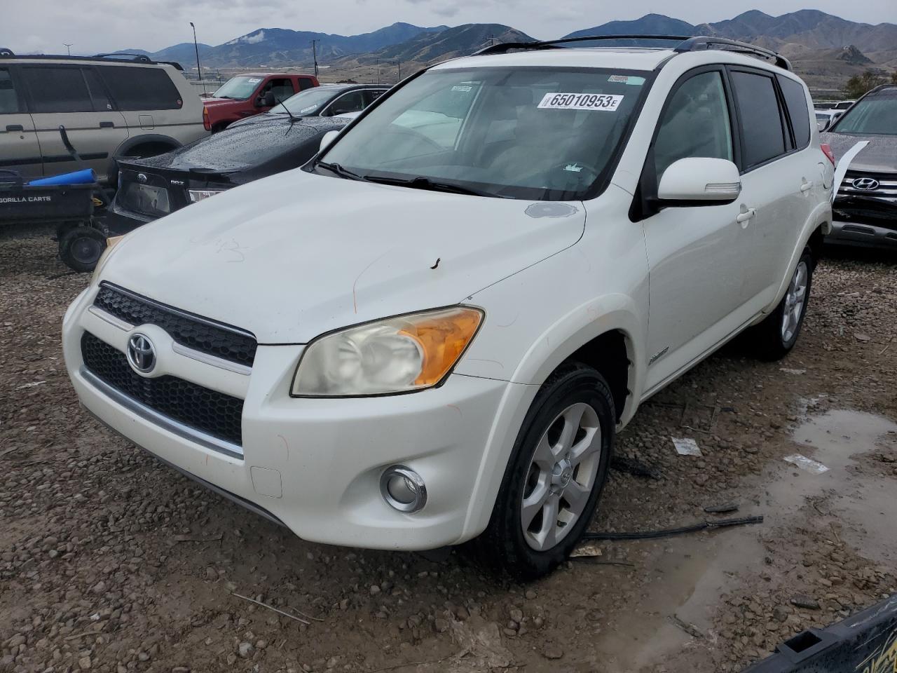 TOYOTA RAV 4 2009 jtmzf31v295012345