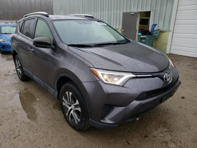 TOYOTA RAV4 LE 2016 jtmzfrev4gj060351