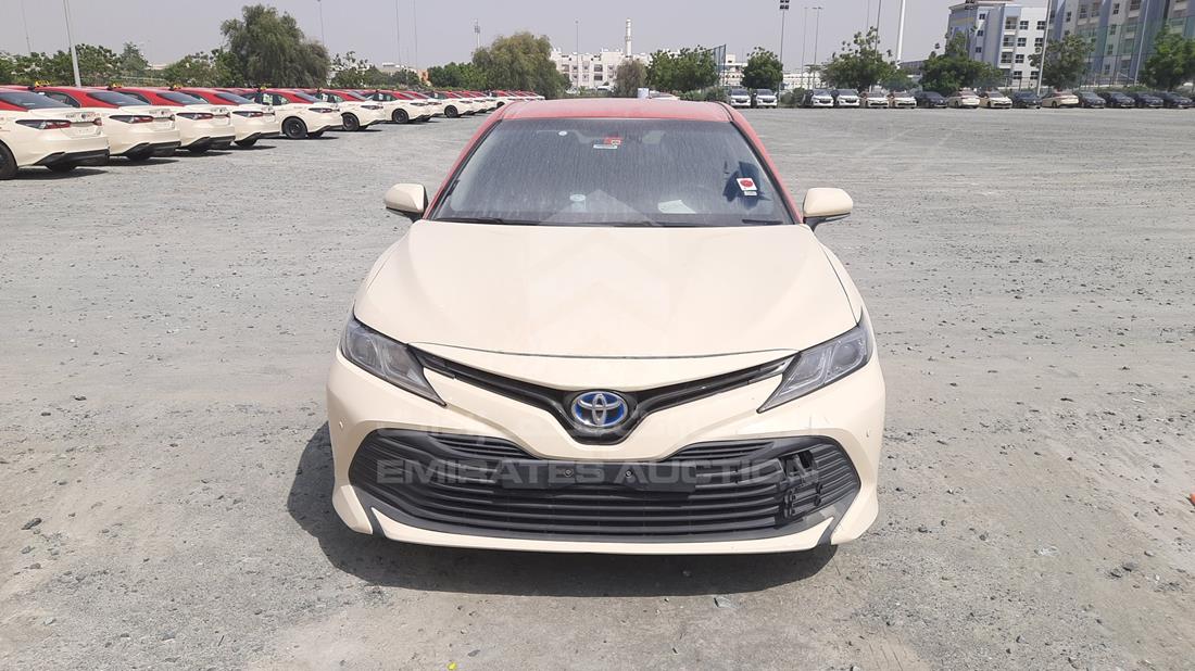 TOYOTA CAMRY 2019 jtnb29hk0k3035051