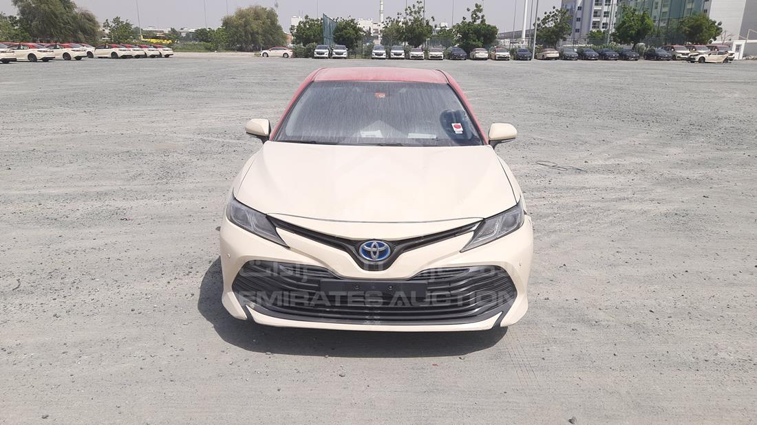 TOYOTA CAMRY 2019 jtnb29hk1k3044941