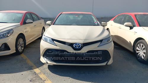 TOYOTA CAMRY 2019 jtnb29hk6k3034650