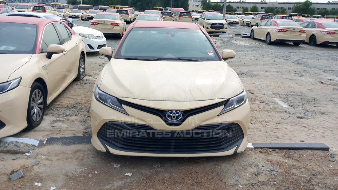 TOYOTA CAMRY 2019 jtnb29hk7k3025262