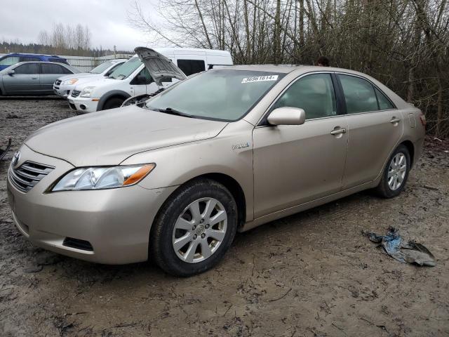 TOYOTA CAMRY 2009 jtnbb46k193049542