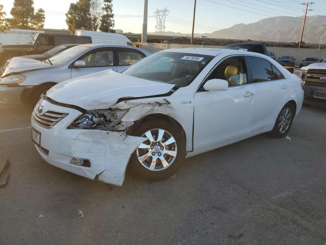 TOYOTA CAMRY HYBR 2009 jtnbb46k193051453