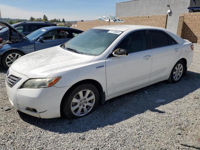 TOYOTA CAMRY HYBR 2009 jtnbb46k993053208