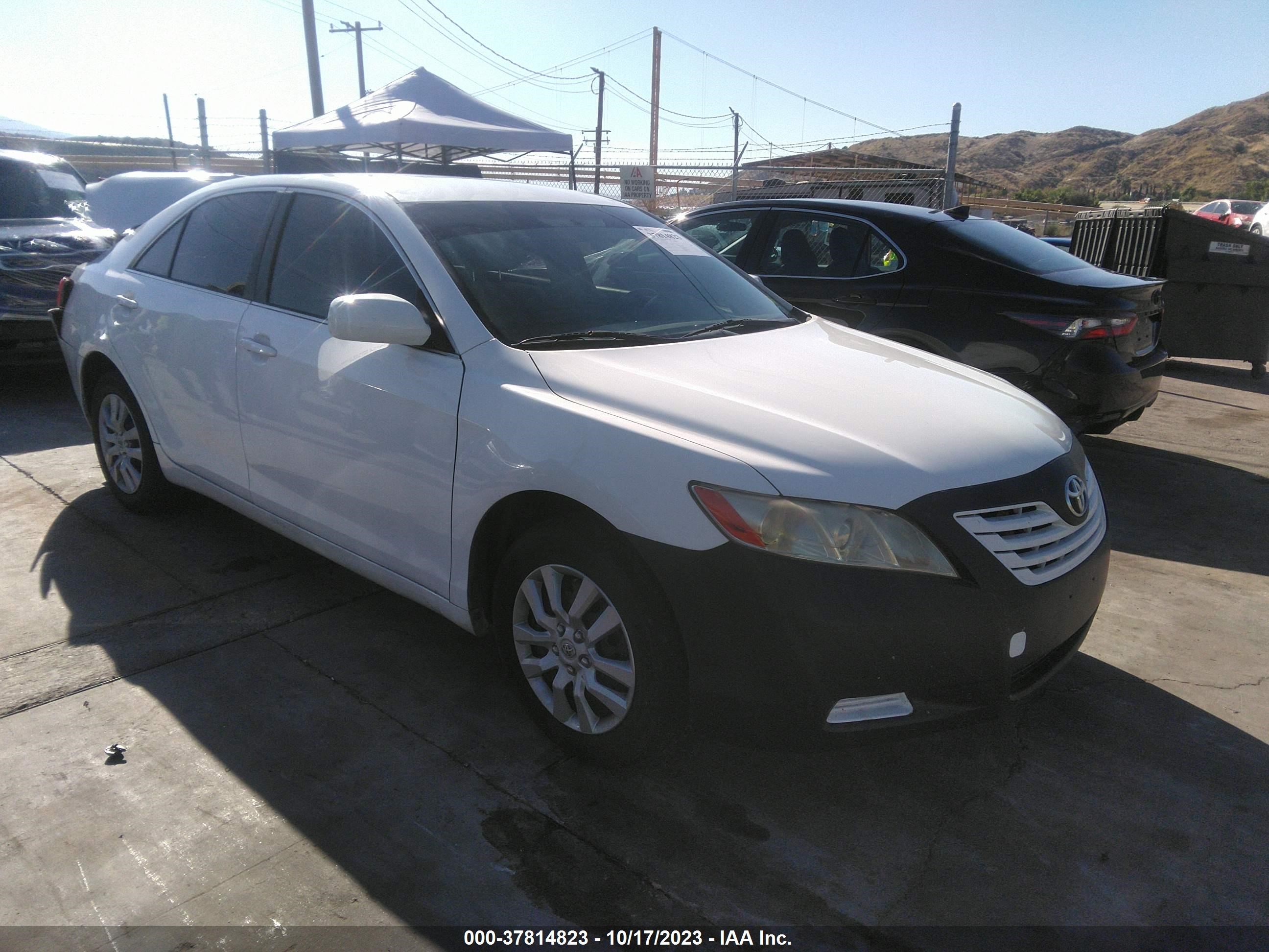 TOYOTA CAMRY 2009 jtnbe46k193190263