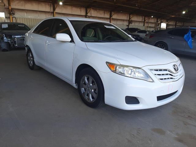 TOYOTA CAMRY BASE 2011 jtnbf3ek7b3005986