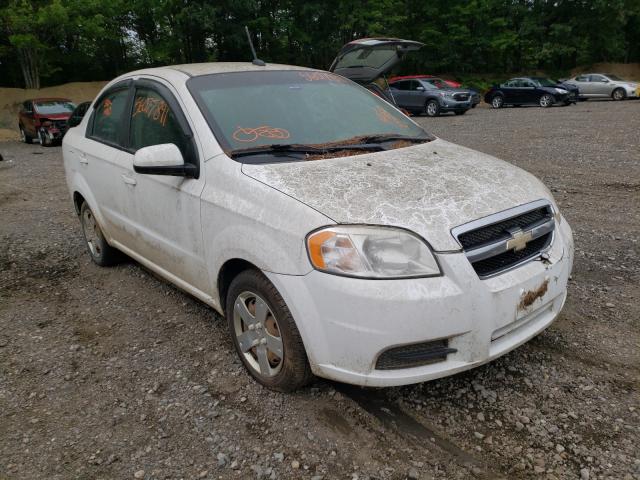 CHEVROLET AVEO LS 2010 kl1td5de3ab110039