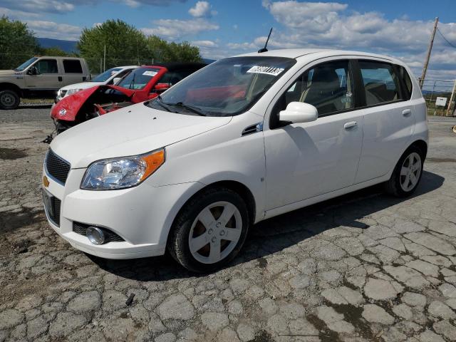 CHEVROLET AVEO LT 2009 kl1tg66e89b616309