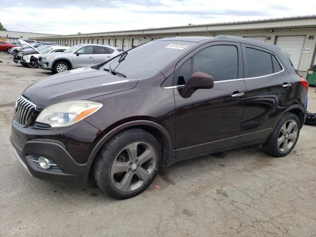 BUICK ENCORE 2013 kl4cjbsb1db125193