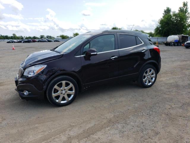 BUICK ENCORE 2014 kl4cjcsb7eb579665