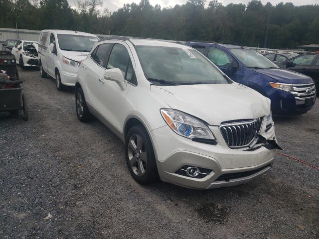 BUICK ENCORE 2014 kl4cjgsb7eb735484