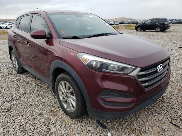 HYUNDAI TUCSON SE 2016 km8j23a40gu034004