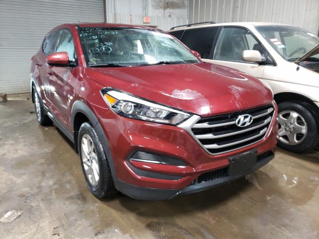 HYUNDAI TUCSON SE 2016 km8j23a40gu155390