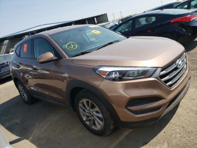 HYUNDAI TUCSON SE 2016 km8j23a40gu155566