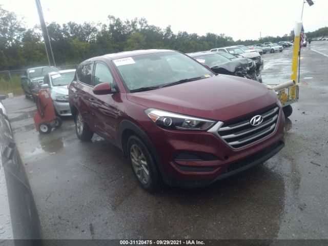 HYUNDAI TUCSON 2017 km8j23a40hu431911