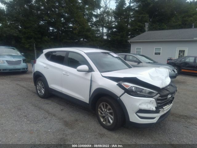 HYUNDAI TUCSON 2017 km8j23a41hu500167