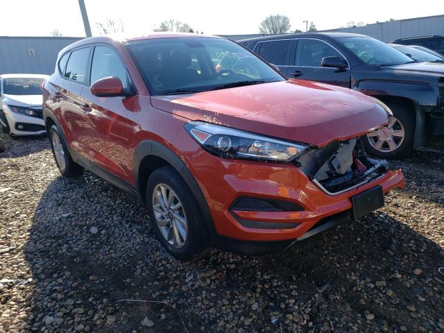 HYUNDAI TUCSON SE 2017 km8j23a41hu580070