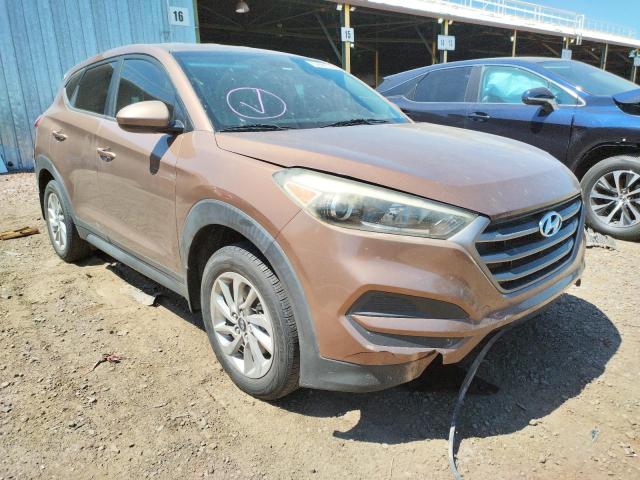 HYUNDAI TUCSON SE 2016 km8j23a42gu027832