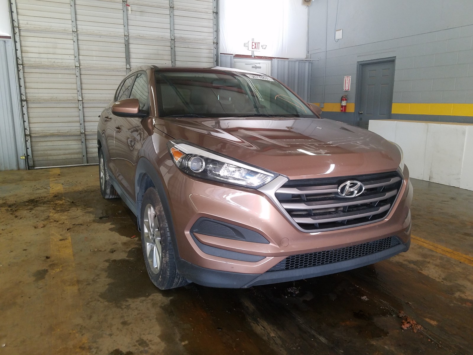 HYUNDAI TUCSON SE 2016 km8j23a43gu024292