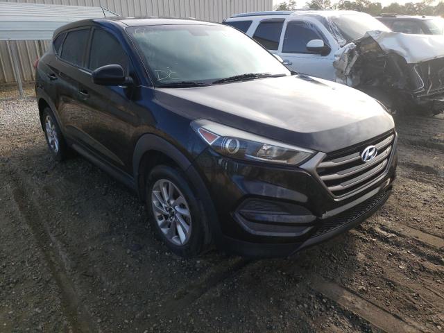 HYUNDAI TUCSON SE 2016 km8j23a43gu143766