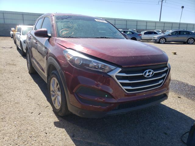 HYUNDAI TUCSON SE 2017 km8j23a43hu331141